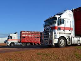 Mgm group is a family owned and operated private company with over 50 years' experience within the bulk haulage industry, servicing mining companies that require bulk haulage, storage, ship loading, rail loading and stockpile management services. Mitchell S Grows With Trac Livestock Acquisition News