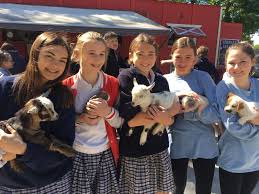 Mischa erika billing, född 30 januari 1966 i lund, är en svensk sommelier och lektor i måltidskunskap. St Jean Vianney School Students Visit With Traveling Farm Animals Mid City Theadvocate Com