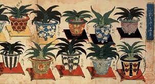 picked botanical bouquet rt おしゃれまとめの人気アイデア pinterest hiroshi sato アートのアイデア ボタニカルイラストレーション 果物の絵