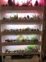 Opcom Hydroponics With Suculent Indoor Hydroponic Gardening Indoor Garden Apartment Indoor Design