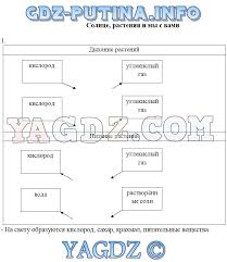 окружающий мир 3 класс плешаков рабочая тетрадь 2 часть развивайка Gdz Po Okruzhayushemu Miru 3 Klass Rabochaya Tetrad Sokolova