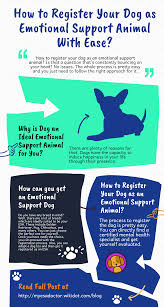 How To Register Your Dog As An Emotional Support Animal With Ease Emotional Support Animal Emotional Support Emotions