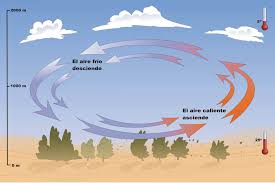 Se prevé viento zonda durante la tarde de hoy jueves en la zona cordillerana del norte de neuquén y en las zonas precordilleranas de mendoza, san juan, la rioja y en el oeste de catamarca y. Tipos De Vientos Planetarios Continentales Alisios Y Mas
