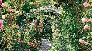 We did not find results for: Create A Beautiful Rose Garden Garden Gate