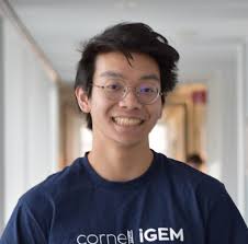 iGEM at Cornell