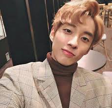 Help Me Holland Singer Kpop