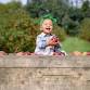 Harvest & Hayride Weekends event image