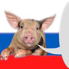 images?q=tbn:ANd9GcRMRdv3KTqHmiHSQPUlOUH