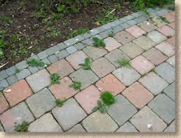 In most cases, a little hard work, a brush, and soapy water are all you need to scrub up your pathways and have. Paving Maintenance And Cleaning Pavingexpert