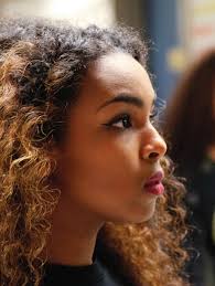 Maine Insights by Polychrome Collective