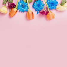 Decorated Flower Top Bottom Over The Pink Background Pink Background Flower Tops Flower Backgrounds