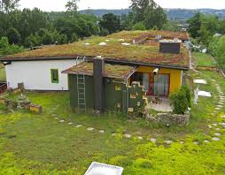 Dachbegruenung 04 Dachgarten24512a53286403a Dachbegrunung Dach Flachdach