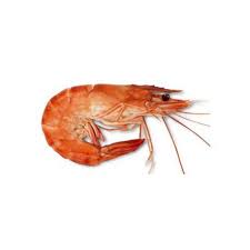 Résultat de recherche d'images pour "gambas"