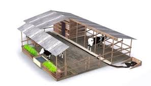 Cow Shed Design For 5 Cows Google Search In 2020 Cow Shed Cow Shed Design Shed Design