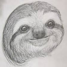 Sloth Sketch Sloth Sketch By Suboshigrl Animal Drawings Sketches Sloth Drawing Animal Drawings