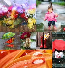 Scientists note there's one factor that's much more important than rainfall in determining when a particular flower will bloom: Do April Showers Really Bring May Flowers Kowalski Heat Treating