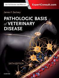Pathologic Basis Of Veterinary Disease Expert Consult Amazon Com Br