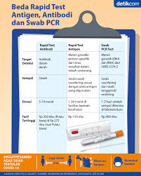 Rapid Test Antigen Bikin Bingung Positif Vs Reaktif Bedanya Apa Sih