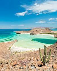 Explore baja california holidays and discover the best time and places to visit. Cactus Above Balandra Beach Near La Paz Baja California Mexico Photograph By Justin Foulkes