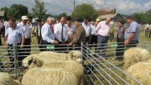 Motivul este că oamenii sunt nevoiţi să îndure mirosul neplăcut. Ministrul Agriculturii Trebuie SÄƒ Avem O Mai BunÄƒ Organizare In Sectorul CreÈ™terii Animalelor Lumea Satului