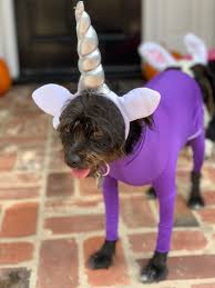 purple shed defender as a unicorn costume unicorn costume