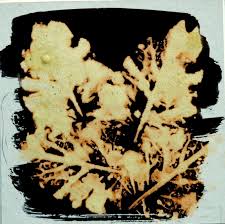 Leaves Printed With Bleach Bleach Art Bleach Drawing Prints