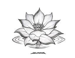 Pencil Sketches Lotus Flower 1000 Images About Lotus Flowers On Lotus Flower Tattoo Design Lotus Tattoo Design Black Lotus Tattoo