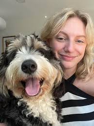 Hi all! Looking for a pet friendly apartment or room near or around the  Boston area for myself and my 2 small friendly and well behaved dogs, Louie  and Pumba! I work