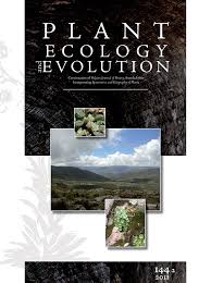 Image result for Chlorophytum burundiense