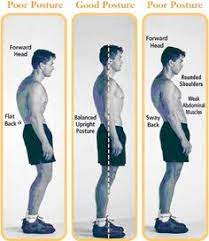 Our entire skeleton shapes our posture. 23 Best Sway Back Ideas Sway Back Posture Fix Posture Exercises