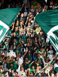 Free coritiba wallpapers and coritiba backgrounds for your computer desktop. Coritiba Foot Ball Club Imagens De Papel De Parede Wallpaper Fundo De Tela