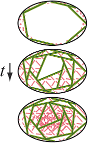 Specialized cells that formed nerves. Geometry Driven Cell Organization Determines Tissue Growths In Scaffold Pores Consequences For Fibronectin Organization