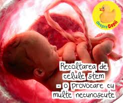Regina Maria Desprecopii Com