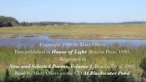 Mary Oliver Reads Her Poem The Summer Day Copyright 1990 Mary Oliver Quotes Mary Oliver Mary Oliver Poems