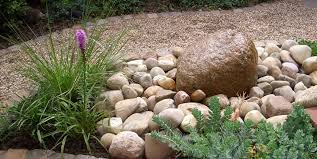 Die pflanze sollte möglichst schnell vernichtet werden. Kleiner Garten Ohne Rasen Goroncy Gartner Von Eden