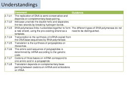 2 7 dna replication transcription and translation