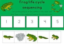 They will hatch faster if the water is however, some will eat eggs of other frogs and even tadpoles. Frog Life Cycle Sequencing Activity Worksheet Lifecycle Of A Frog Frog Life Life Cycles