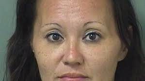 PBSO: Woman warns driver of crossing dog, breaks windshield