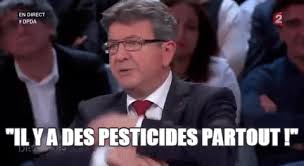 Log in to save gifs you like, get a customized gif feed, or follow interesting gif. Jean Luc Melenchon Enerve Citation Gif Find On Gifer