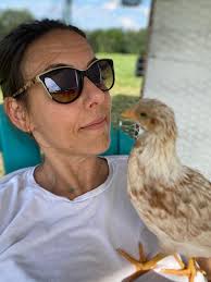 Pullets and ducks refusing to sleep in coop