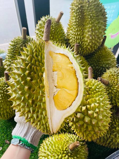 Sầu Riêng Ri6 Đắk Lắk