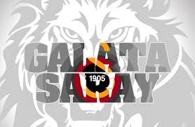 Galatasaray taraftarları tarafından yapılan bu resimler için hepsine çok teşekkür ediyorum. Galatasaray