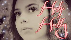 Fundraiser by Ian O'Connell : Help Holly.