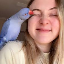 Bridget Chant (@bridgetchant) • Instagram photos and videos