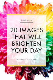 We did not find results for: 20 Images That Will Brighten Your Day Wonder Forest