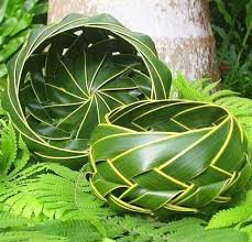 Manfaat dan khasiat bungkak nyuh gading atau kelapa kuning. Manfaat Daun Kelapa Untuk Kehidupan Sehari Hari Dan Penghasilan Tambahan