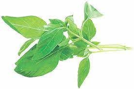 Find specific details on this topic and related topics from the merck vet manual. 10 Plante Care VindecÄ Pneumonia Libertatea