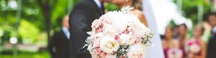 Maybe you would like to learn more about one of these? Blooming Flowers Elk Grove Village Il Alignable