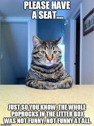 Take A Seat Cat Meme Please Have A Seat Just So You Know The Whole Poprocks In The Litter Box Cat Quotes Funny Funny Animal Pictures Funny Cat Pictures