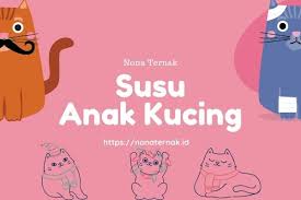 Untuk anak kucing yang belum disapih, berikan susu yang kaya protein dan lemak. 1zkhzowp8fboim